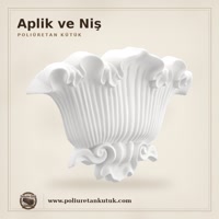 Aplik ve Niş