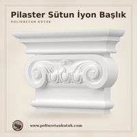 Pilaster Sütun İyon Başlık