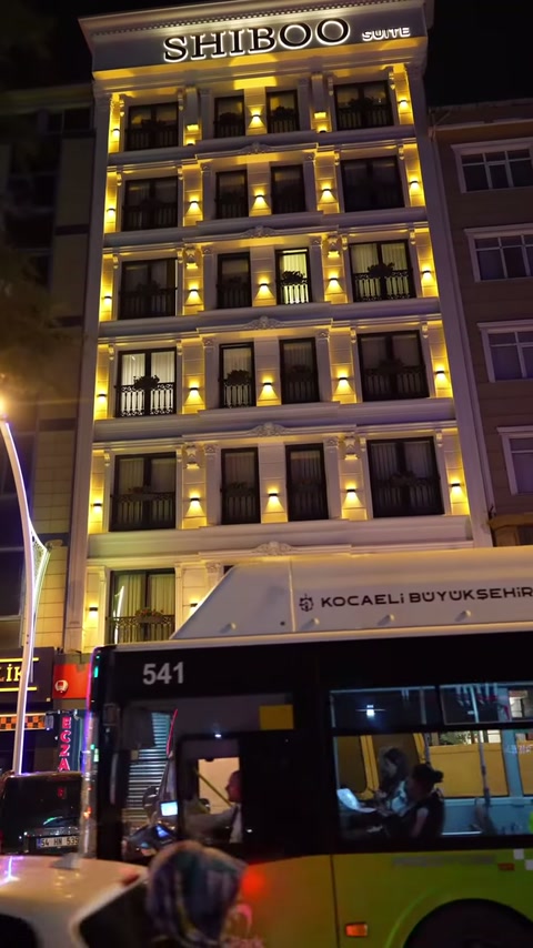 Dikey kadraj, yapının çatı silmesinden zemin katına uzanan cepheyi gösteriyor.